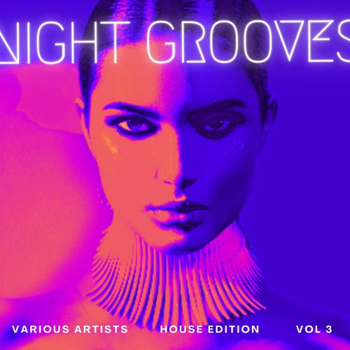 Cover art for Night Grooves (House Edition), Vol. 3