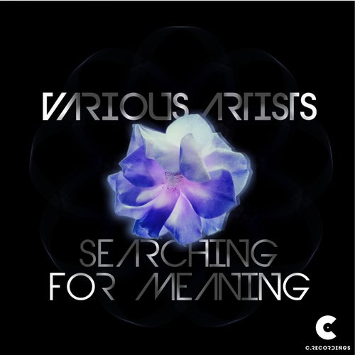 Searching for Meaning