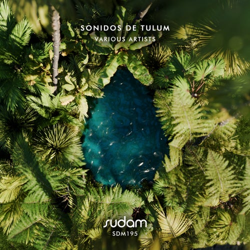 VA - Sonidos de Tulum [SDM195] FLAC - (Melodic House & Techno,Afro House) Album Cover