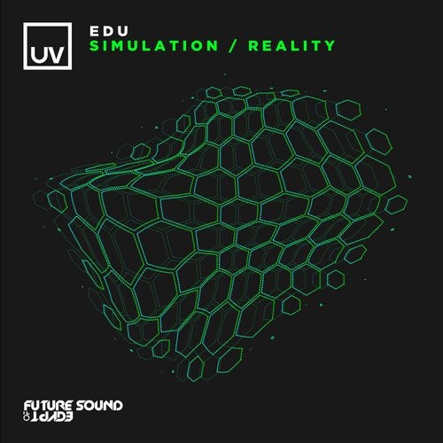 Cover art for Simulation / Reality