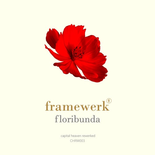  Framewerk - Floribunda (2024) 