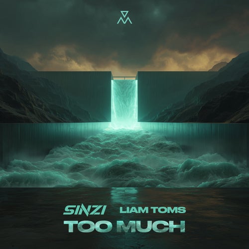 Too Much