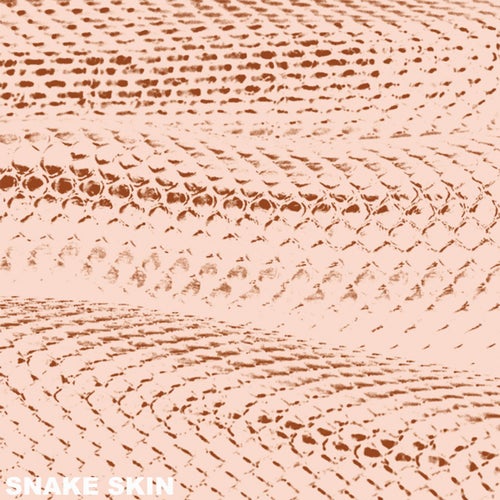 Snake Skin