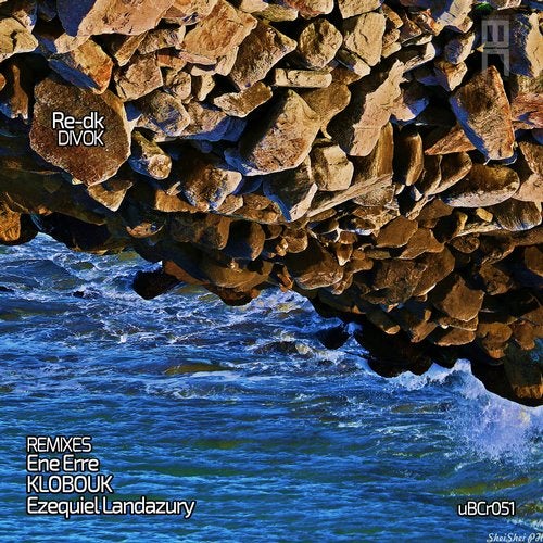 Cover art for Divok