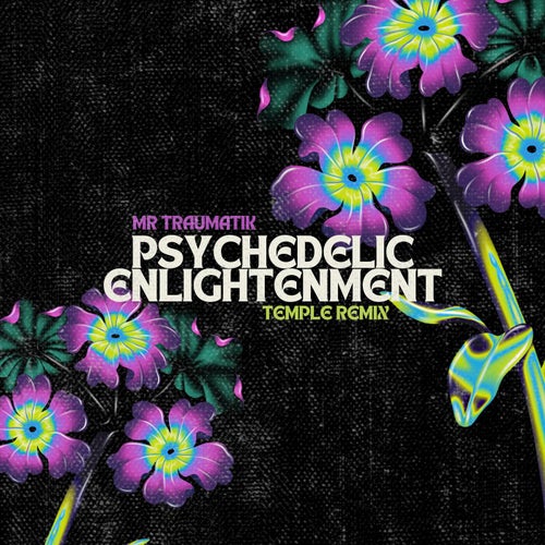 Psychedelic Enlightenment - Temple Remix