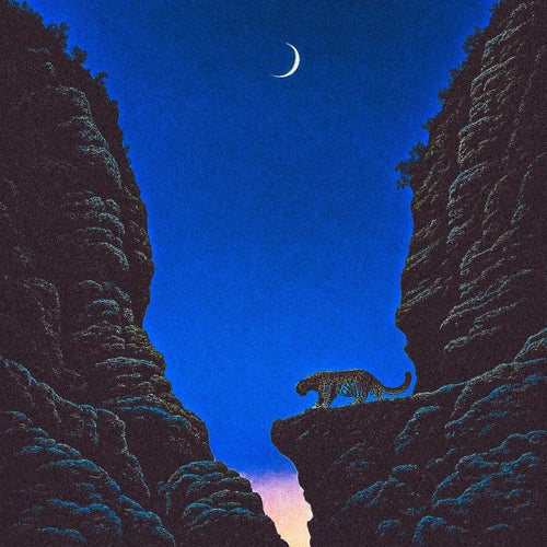 Syzygy