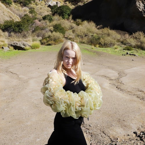 Cover art for Wrestling