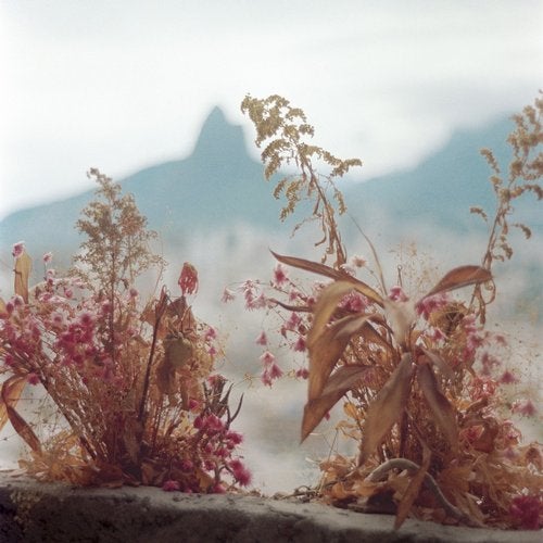 Cover art for Estàtua