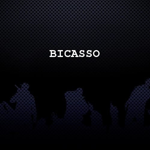 Bicasso