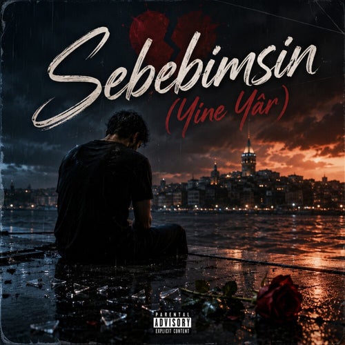 Sebebimsin
