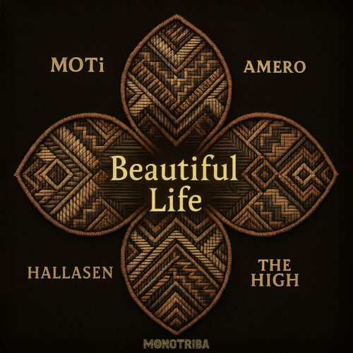 Beautiful Life (Extended Mix)