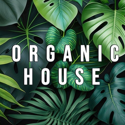 ORGANIC HOUSE top10 July2025