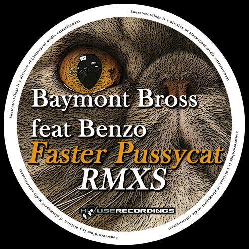 Faster Pussycat Remixes