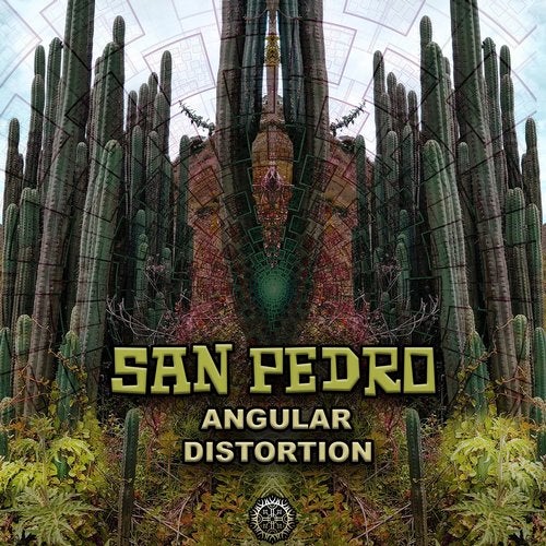 Cover art for Angular Distortion