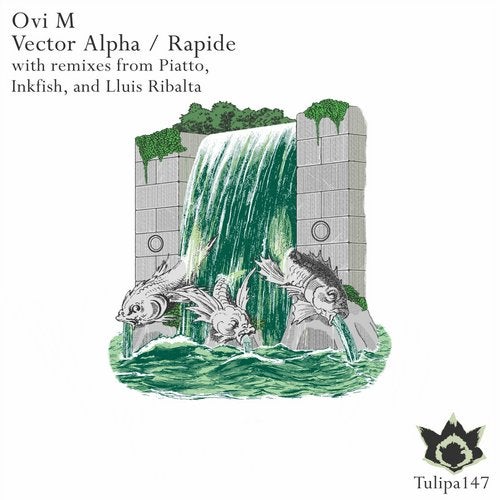 Cover art for Vector Alpha / Rapide