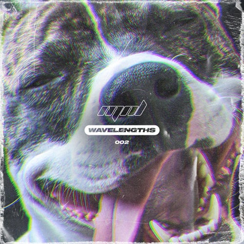 Cover art for 1 Big Dark Room