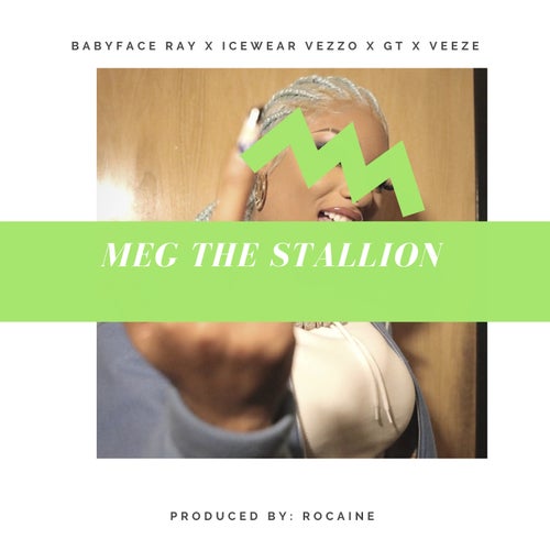 Meg The Stallion (feat. Veeze)