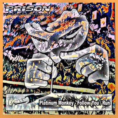 Cover art for Follow You / Run
