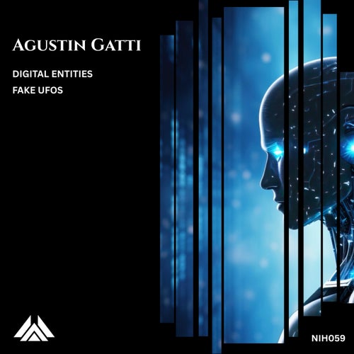 Digital Entities