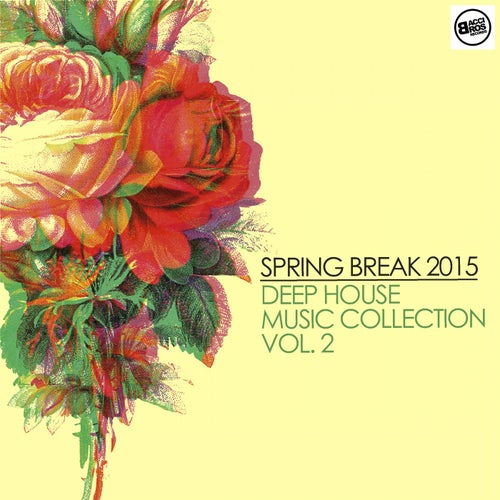 Spring Break 2015 Deep House Music Collection - Vol. 2