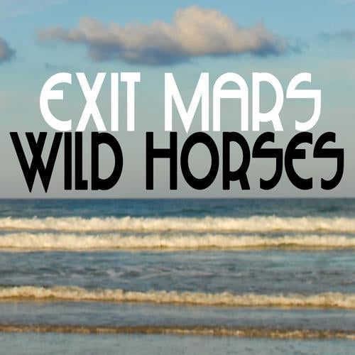 Wild Horses