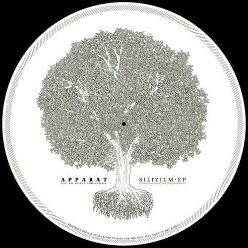 Silizium EP