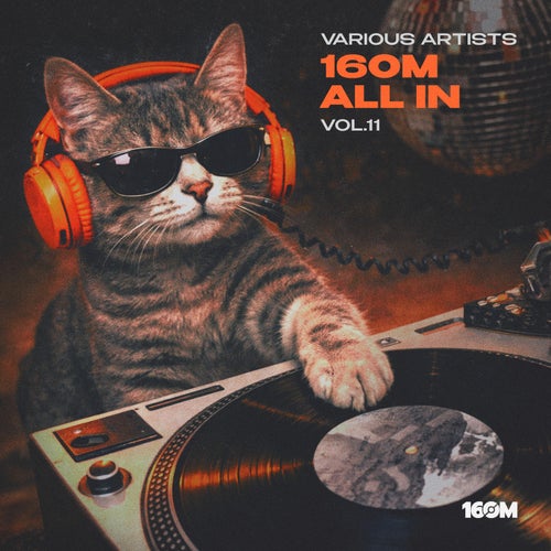 16om All In, Vol.11