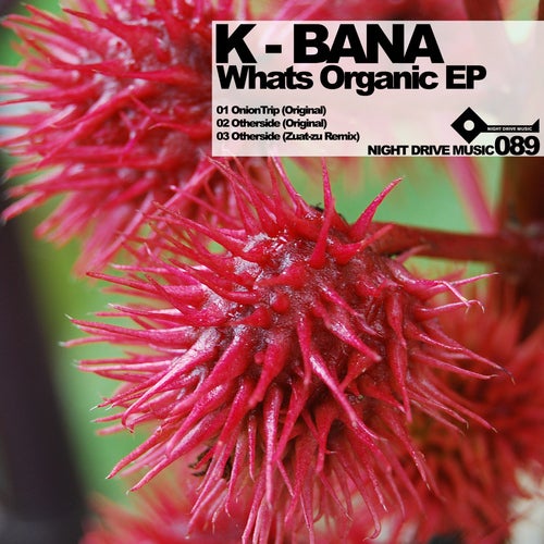 Whats Organic EP