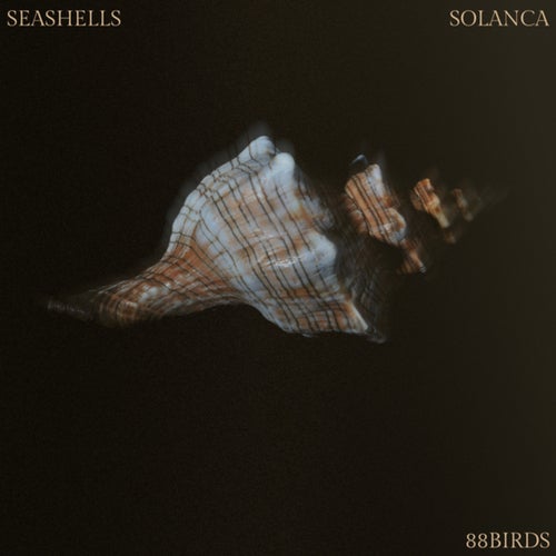 Seashells (Extended Mix)