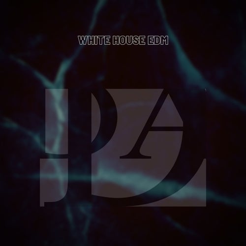 White House EDM