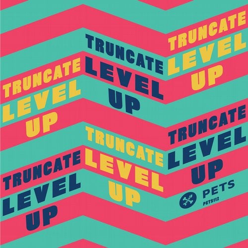 Cover art for Level Up