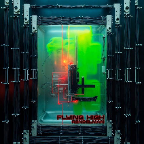 Flying High