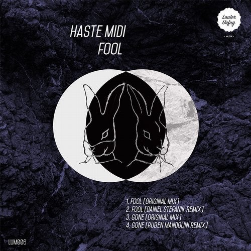 Cover art for Fool