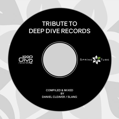 Cover art for Tribute to Deep Dive Records