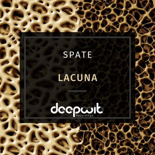 Lacuna