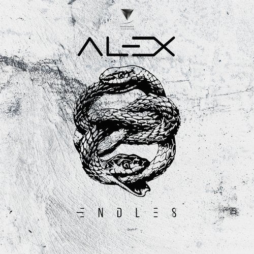 Cover art for Endless