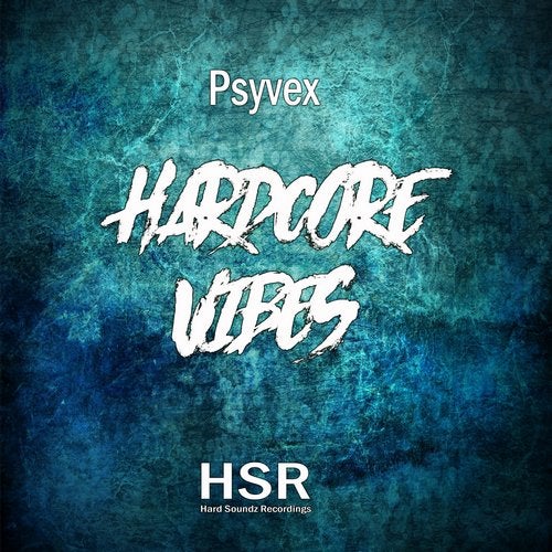 Cover art for Hardcore Vibes