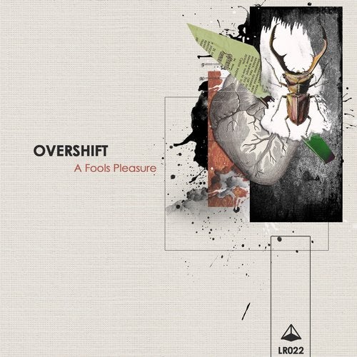 Cover art for A Fools Pleasure