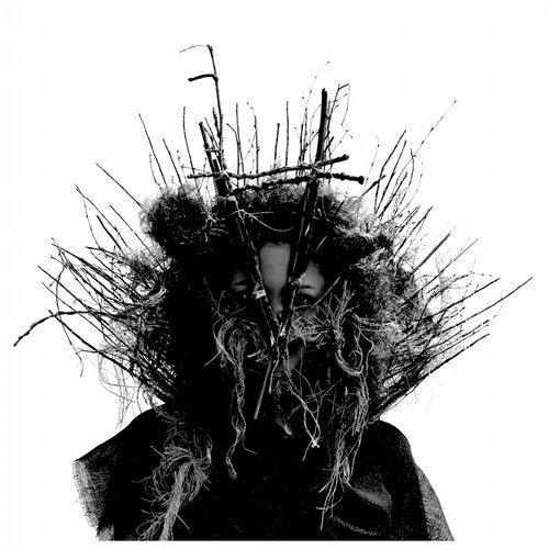 Cover art for Anamorph Remixes