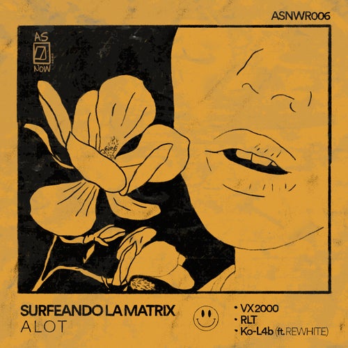 Surfeando la Matrix
