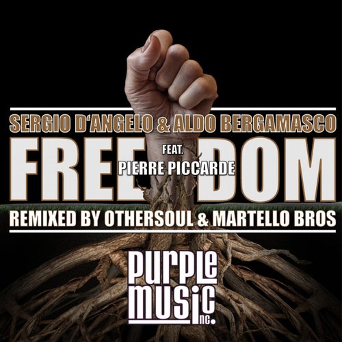 Freedom (Feat. Pierre Piccarde)
