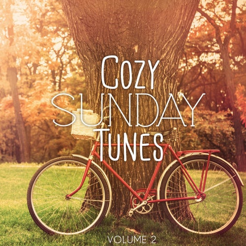 Cozy Sunday Tunes, Vol. 2 (Finest Relaxing & Hang Out Music)