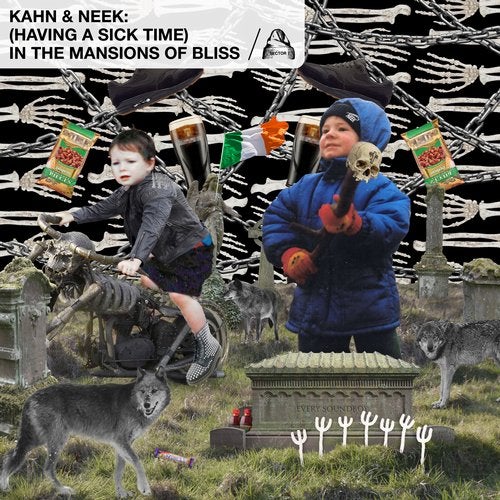 Cover art for (Having A Sick Time) In The Mansions Of Bliss