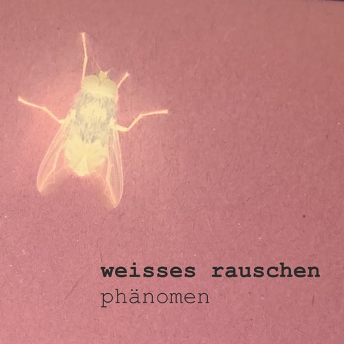 phänomen (Demo)