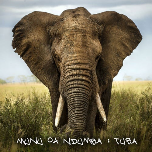 Tuba