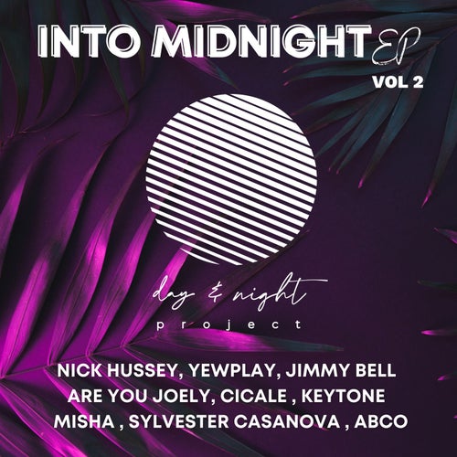 Cover art for Into Midnight EP, Vol.2