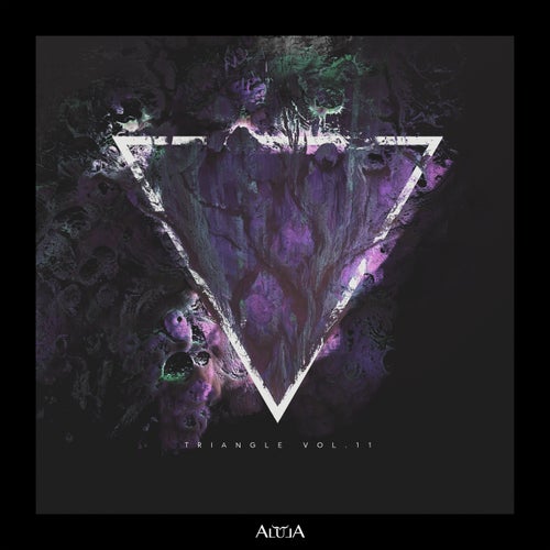 VA -  Triangle Vol 11 (2024) [MP3] 215c4972-0d26-460e-9937-8de82331817e