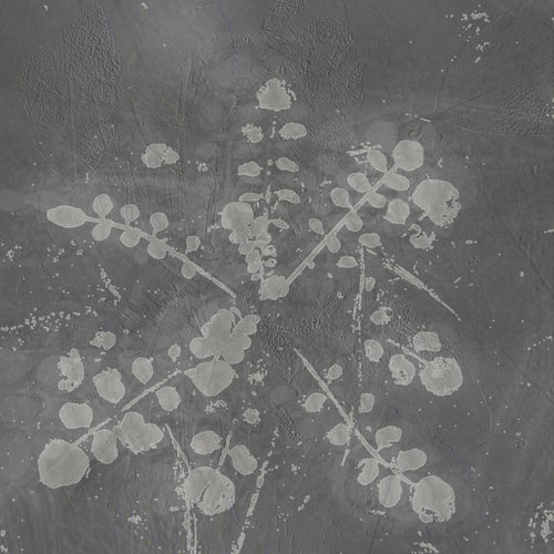 Cover art for Music For Melted Floors