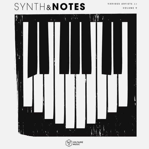 Synths & Notes, Vol. 9 [VOLTCOMP1724] - Voltaire Music (Melodic House & Techno) Album Cover