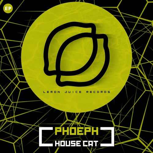 House Cat